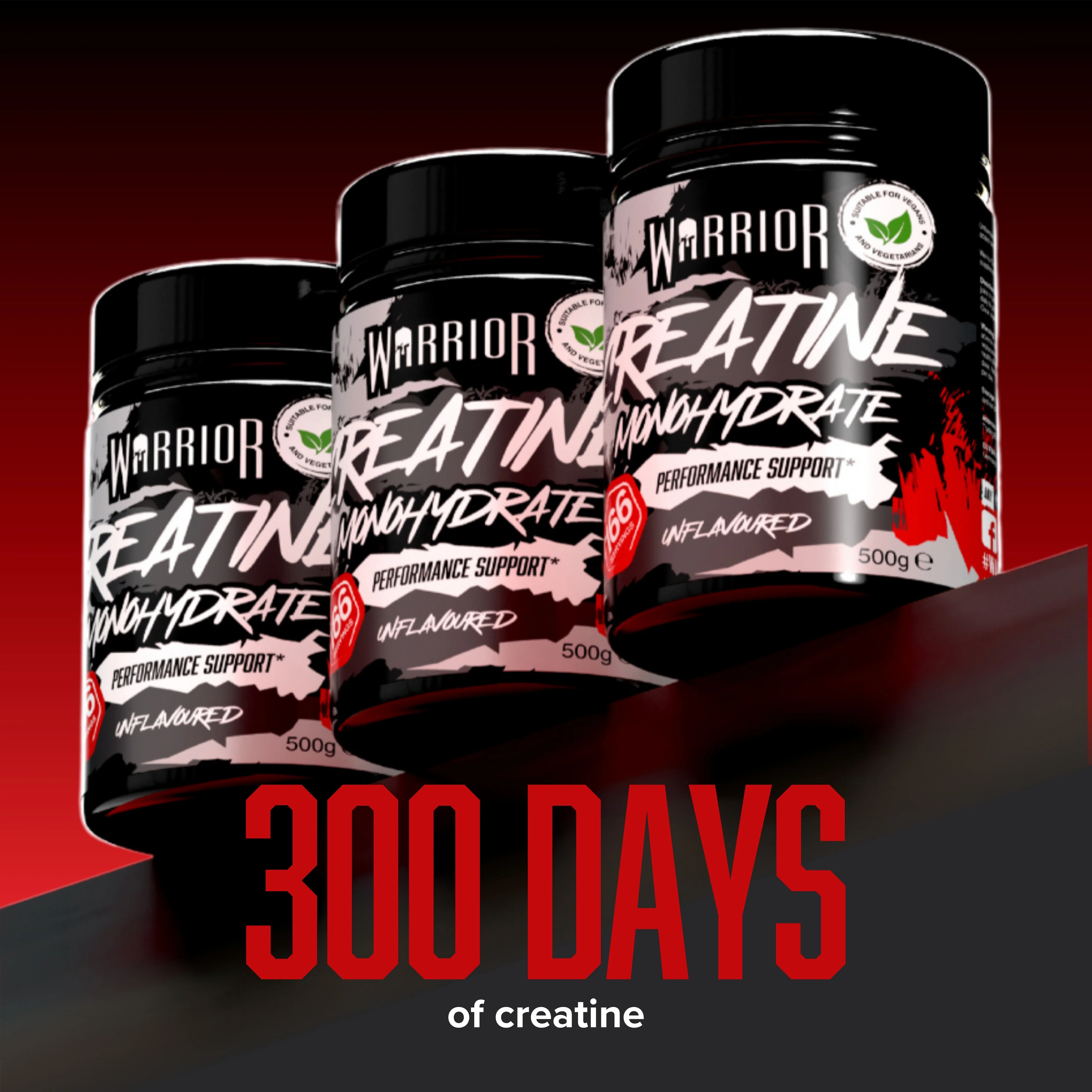 The 300-Day Creatine Pack - Image 6